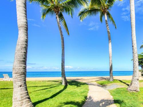 a group of palm trees on the beach at Rincon of the Seas Grand Caribbean Hotel in Rincon