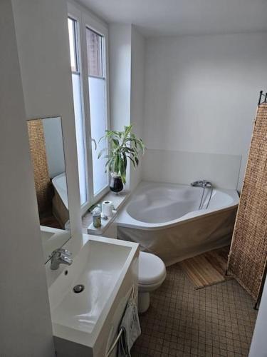 une salle de bain avec une baignoire, des toilettes et un lavabo dans l'établissement Chez Tantine, à Troyes