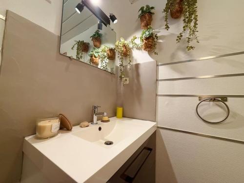 La salle de bains est pourvue d'un lavabo, d'un miroir et de plantes. dans l'établissement Studio 2 personnes Proche Centre-Ville, à Besançon