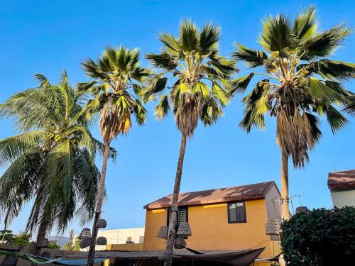 three palm trees in front of a yellow house at The heart of downtown in Nouakchott
