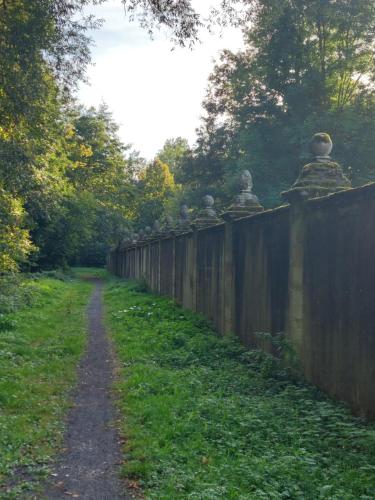 a fence with a dirt road next to a field at auszeit34 in Ebelsbach