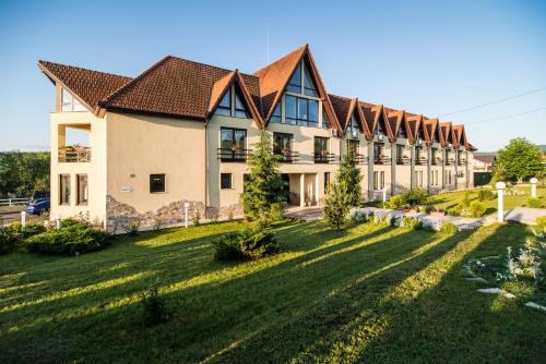 a large building with a lawn in front of it at Conacul Archia in Deva