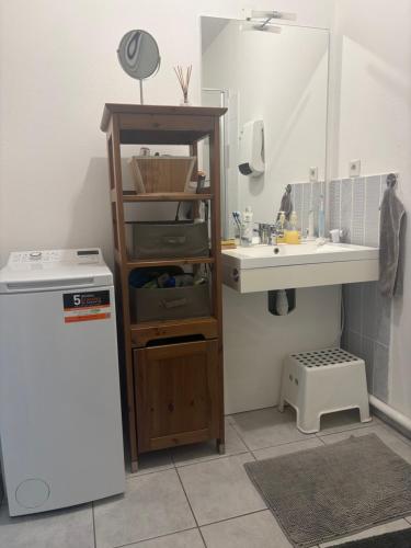 une petite salle de bain avec un lavabo et un miroir dans l'établissement Logement cosy en bord de mer et étang, à Sète