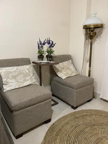 a living room with a couch and a chair and a table at Ultra comfy en Barrio Norte- un dormi con lavarrop in San Miguel de Tucumán