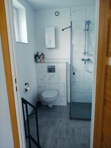 a bathroom with a toilet and a glass shower at Leszczynka in Szarocin