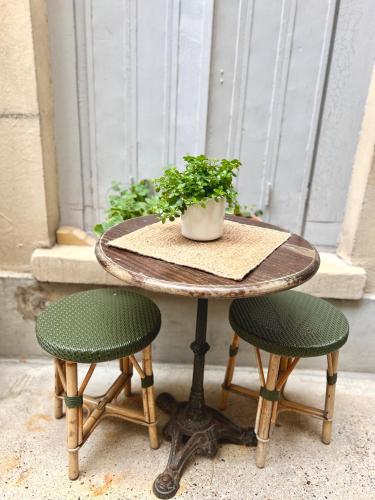 une table avec une plante en pot et deux chaises dans l'établissement Canal St Martin Miss Dodu, à Paris