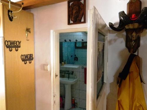 a bathroom with a sink and a toilet at Transylvania Cowboy Cottage in Cluj-Napoca