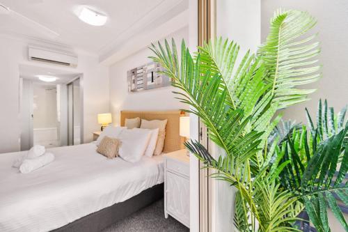 a bedroom with a white bed and a green plant at Lux Resort Cairns in Westcourt
