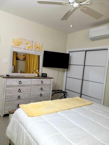 a bedroom with a bed and a dresser with a television at Blue Water Villa in Point