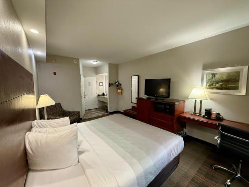 a hotel room with a large bed and a television at Quality Inn Newnan - Atlanta South in Newnan