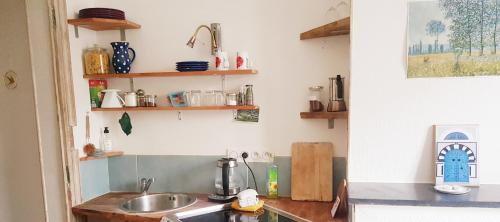 una cocina con fregadero y encimera en Studio lumineux au charme parisien, en Vincennes