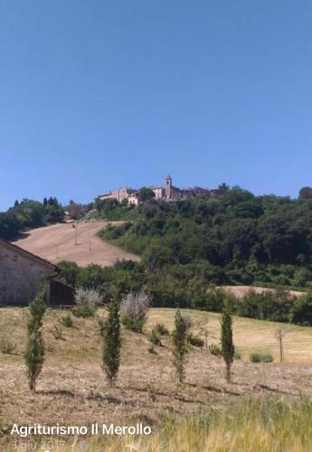 a field with trees and a house on a hill at Agriturismo Il Merollo in Todi
