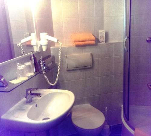 a bathroom with a sink and a toilet at Hotel Rodewisch in Rodewisch