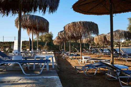 a bunch of chairs and umbrellas on a beach at Theologos Beach in Antiparos Town