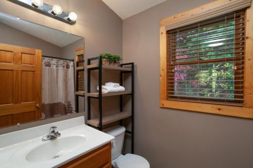 a bathroom with a sink and a toilet and a mirror at Bears Corner w/ Hot Tub, Arcade & Community Pool! in Gatlinburg