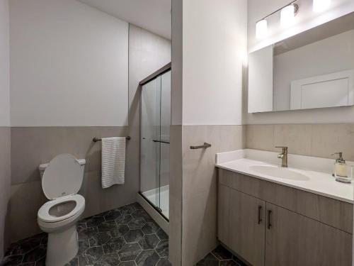 a bathroom with a toilet and a sink and a mirror at 213 Brand New 3 Bedroom 2 Bath 1 Full Kit 1 Liv in Dunellen
