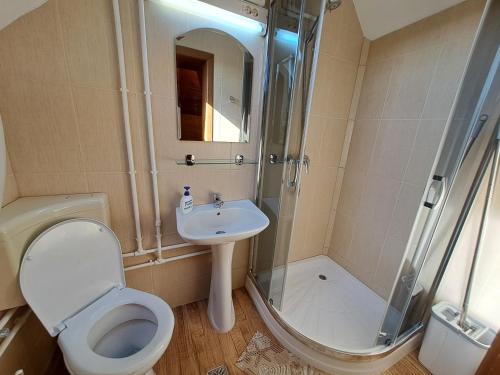 a bathroom with a toilet and a shower and a sink at Nagy Lak II. in Sub Cetate