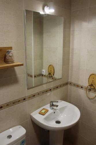 a bathroom with a sink and a mirror and a toilet at La Cañada in Candeleda