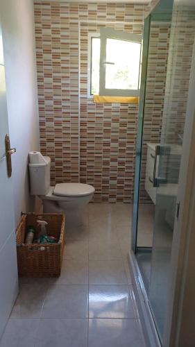 a bathroom with a toilet and a sink and a window at Habitación in Oiartzun