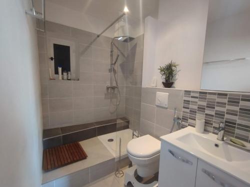 une salle de bain avec toilettes, douche et lavabo dans l'établissement Chez Anne-Marie bourgeois apartment, à Carcassonne
