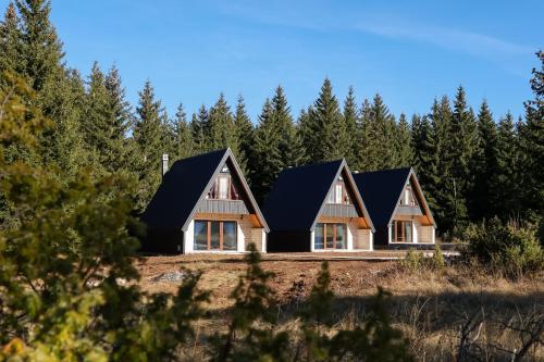 a house with a black roof in the forest at Wild Lodges in Žabljak