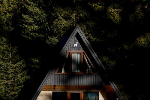 a house with a window in the middle of trees at Wild Lodges in Žabljak