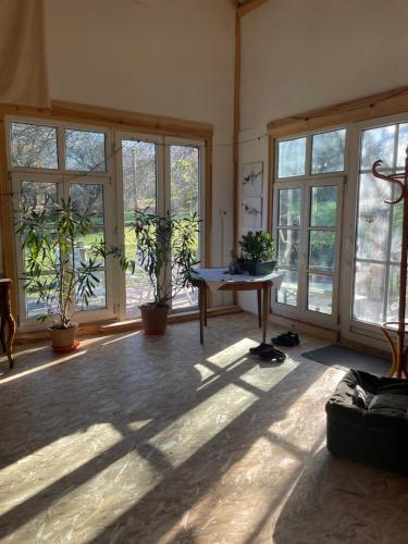 a room with windows and a table with potted plants at Home of arts and creation, Erdei alkoto studio in Verőce