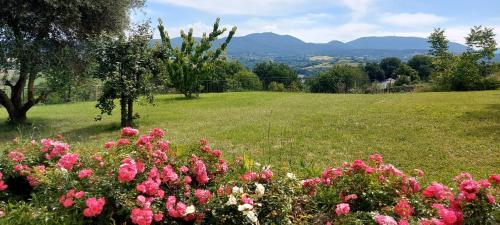 a field of flowers with mountains in the background at IL CASALE DEGLI ULIVI- Splendido casale panoramico con piscina a 30 min da Roma GRA in Calvi dellʼ Umbria