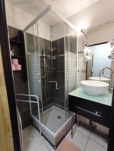 une salle de bain avec une douche en verre et un lavabo dans l'établissement Appartement du port, à Saint-Cyprien