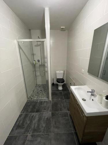 une salle de bain avec une douche, un lavabo et des toilettes dans l'établissement Maison de village, à Montpezat
