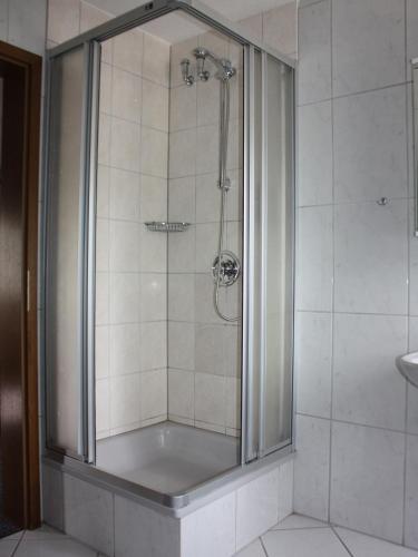 a shower with a glass door in a bathroom at Smart Resorts B&B 3 BB3 108 in Winterberg