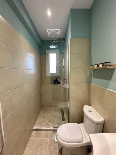 a bathroom with a toilet and a shower at Christina Apartment in Drama