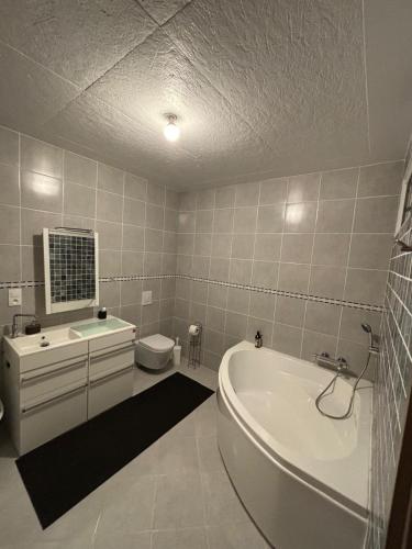 une salle de bain avec une baignoire, un lavabo et des toilettes dans l'établissement 13 Rue du Perré Maison de vacances, à La Membrolle-sur-Choisille