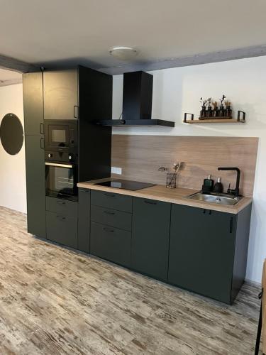 - une cuisine avec des placards vert foncé et un évier dans l'établissement Le Cosy Green - centre-ville, à Sélestat