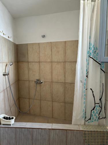 ArgiliaにあるAmerini's Stone Guesthouseのバスルーム(シャワー、シャワーカーテン付)