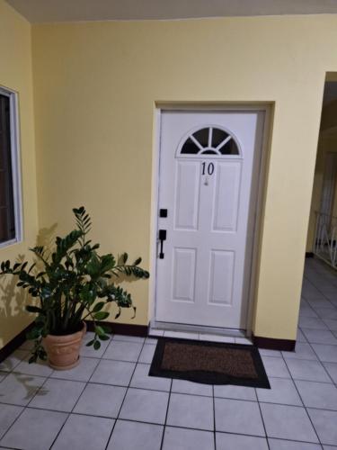 a white door in a room with a potted plant at Chateau Central at Sunbury Apts in Kingston