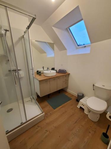 une salle de bain avec une douche, un lavabo et des toilettes dans l'établissement Les palis de Sert, à La Chapelle-de-Brain
