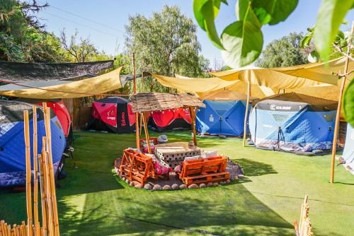 Zahrada ubytování Altos de Quitor, Glamping