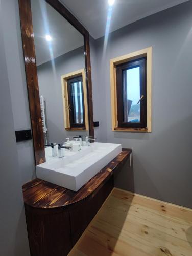 a bathroom with a white sink and a mirror at Leśny Wyraj in Borsuki