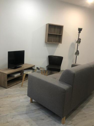 un salon avec un canapé et une télévision dans l'établissement Le onze, à Lons-le-Saunier