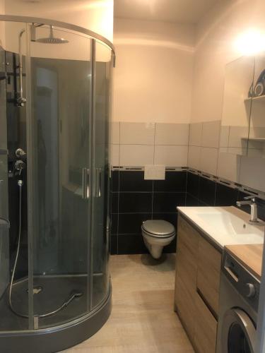 une salle de bain avec une douche, des toilettes et un lavabo dans l'établissement Le onze, à Lons-le-Saunier