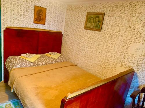 a bedroom with a bed with a red head board at Etno selo Stanojevic in Boljevac