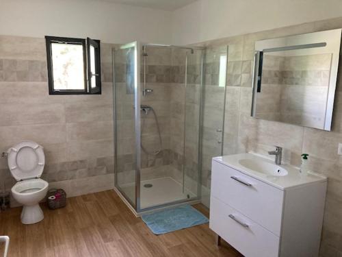 une salle de bain avec une douche, des toilettes et un lavabo dans l'établissement Charmant appartement de village, à Aniane