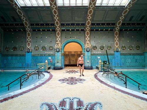 ブダペストにあるDesigner Luxury Home Next To Dohany Synagogue with Balconyのスイミングプール前立ち