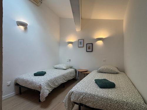 2 letti in una camera con 2 cuscini verdi di La maison de Lalie a Lagrasse