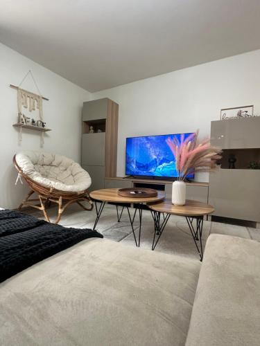 un salon avec une grande télévision à écran plat dans l'établissement Le cocon Parking privé Centre ville Gare, à Arpajon