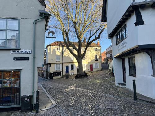 a tree in the middle of a street with buildings at Cozy City Escape in Norwich in Norwich