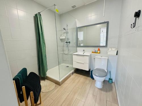 une salle de bain avec une douche, des toilettes et un lavabo dans l'établissement Cosy Appartement Close Metro 14 and 13, à Saint-Denis