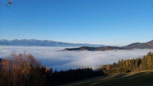 a view of a foggy valley with trees and mountains at Ferienwohnung Leonhardbauer in Kleinfeistritz
