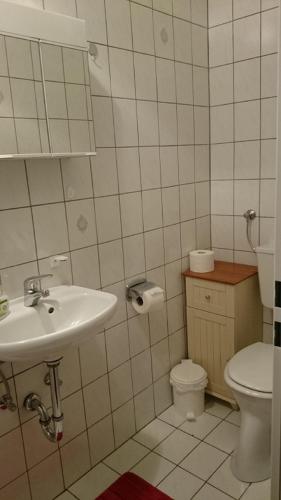 a bathroom with a sink and a toilet at Ostfriesisches Landhaus in Wittmund